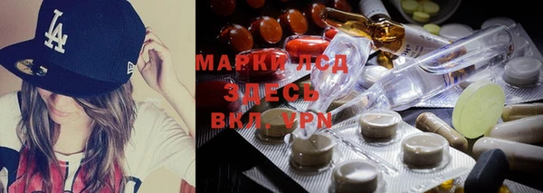 spice Богородицк